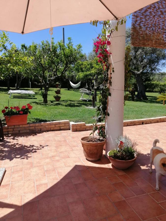 La Collina Del Riccio Διαμέρισμα Ortona Εξωτερικό φωτογραφία