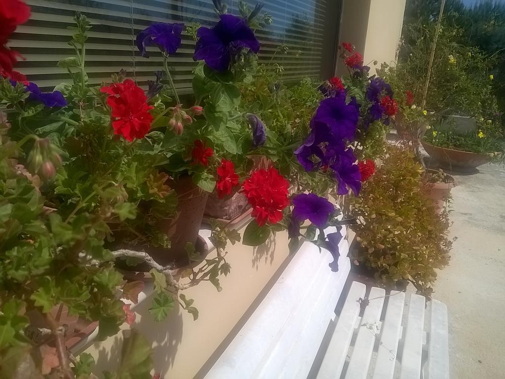 La Collina Del Riccio Διαμέρισμα Ortona Εξωτερικό φωτογραφία