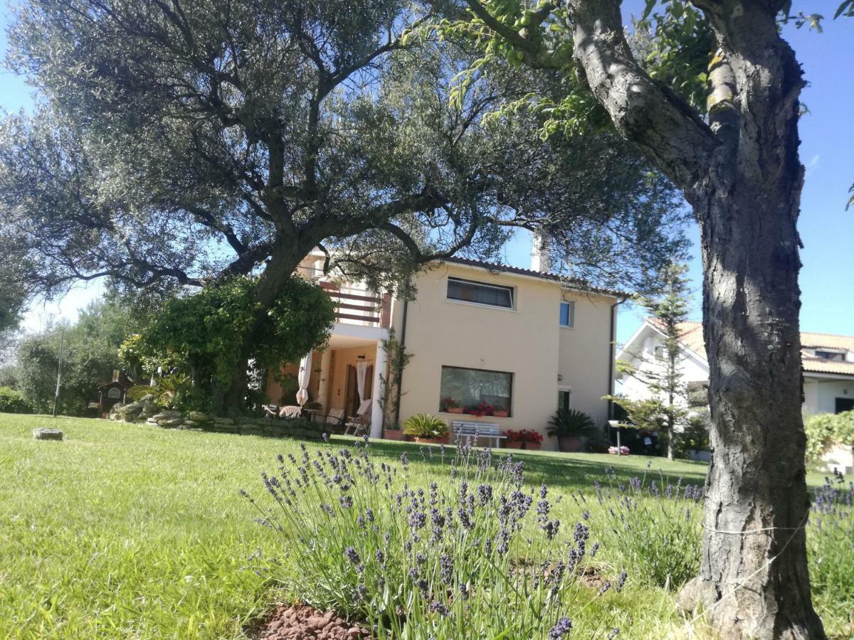 La Collina Del Riccio Διαμέρισμα Ortona Εξωτερικό φωτογραφία