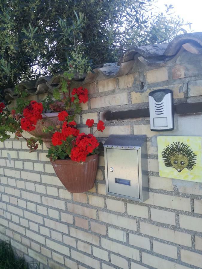 La Collina Del Riccio Διαμέρισμα Ortona Εξωτερικό φωτογραφία