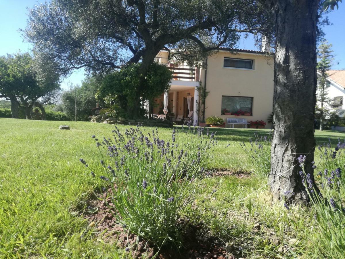 La Collina Del Riccio Διαμέρισμα Ortona Εξωτερικό φωτογραφία