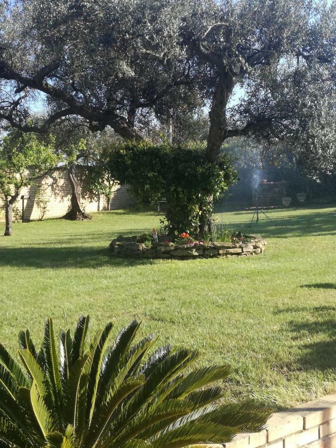 La Collina Del Riccio Διαμέρισμα Ortona Εξωτερικό φωτογραφία